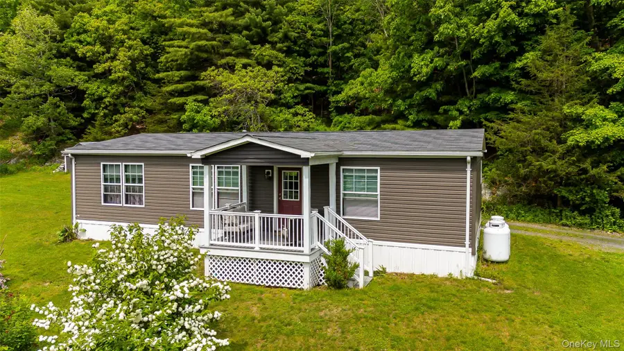 559 Lake Road, Pine Plains, NY 12567 - #2