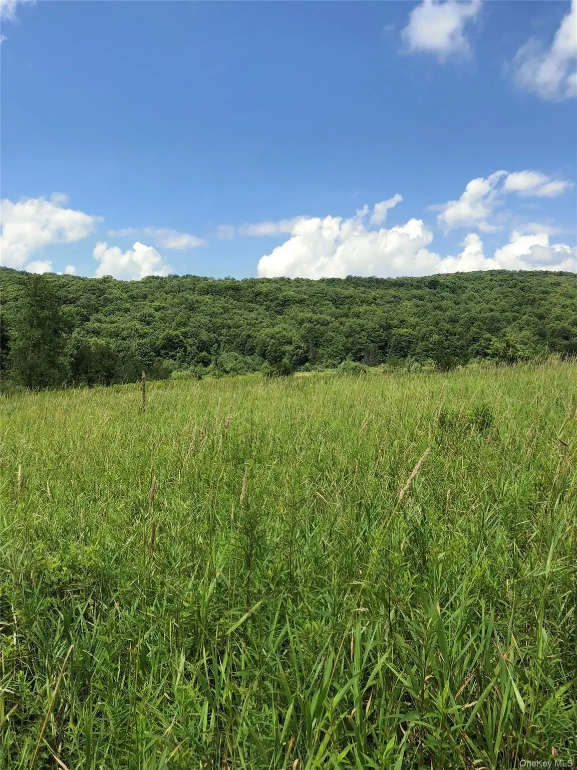 126 E Afton Road, Afton, NY 13730 - #1