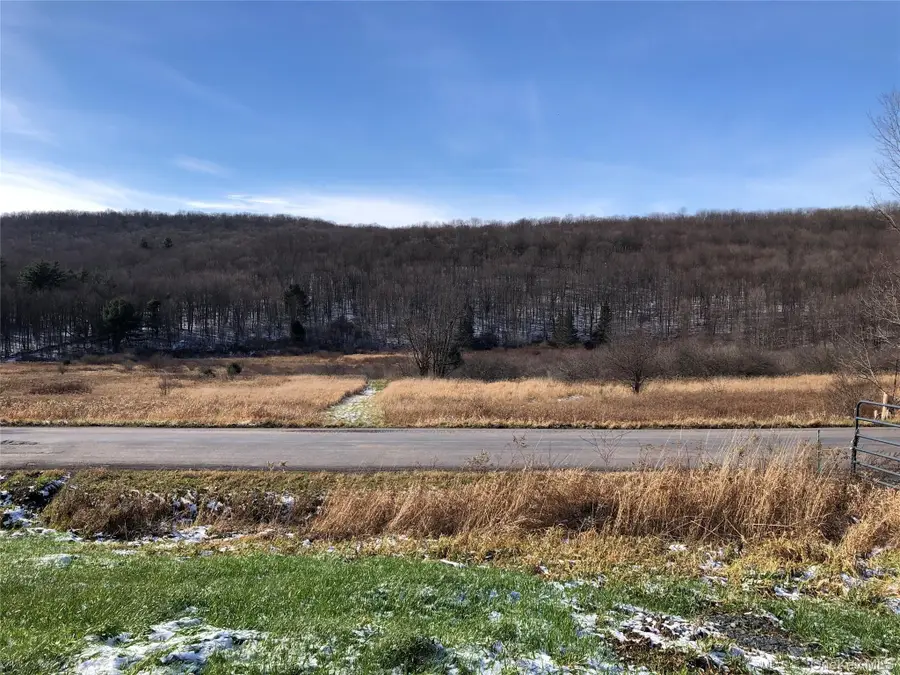 126 E Afton Road, Afton, NY 13730 - #3
