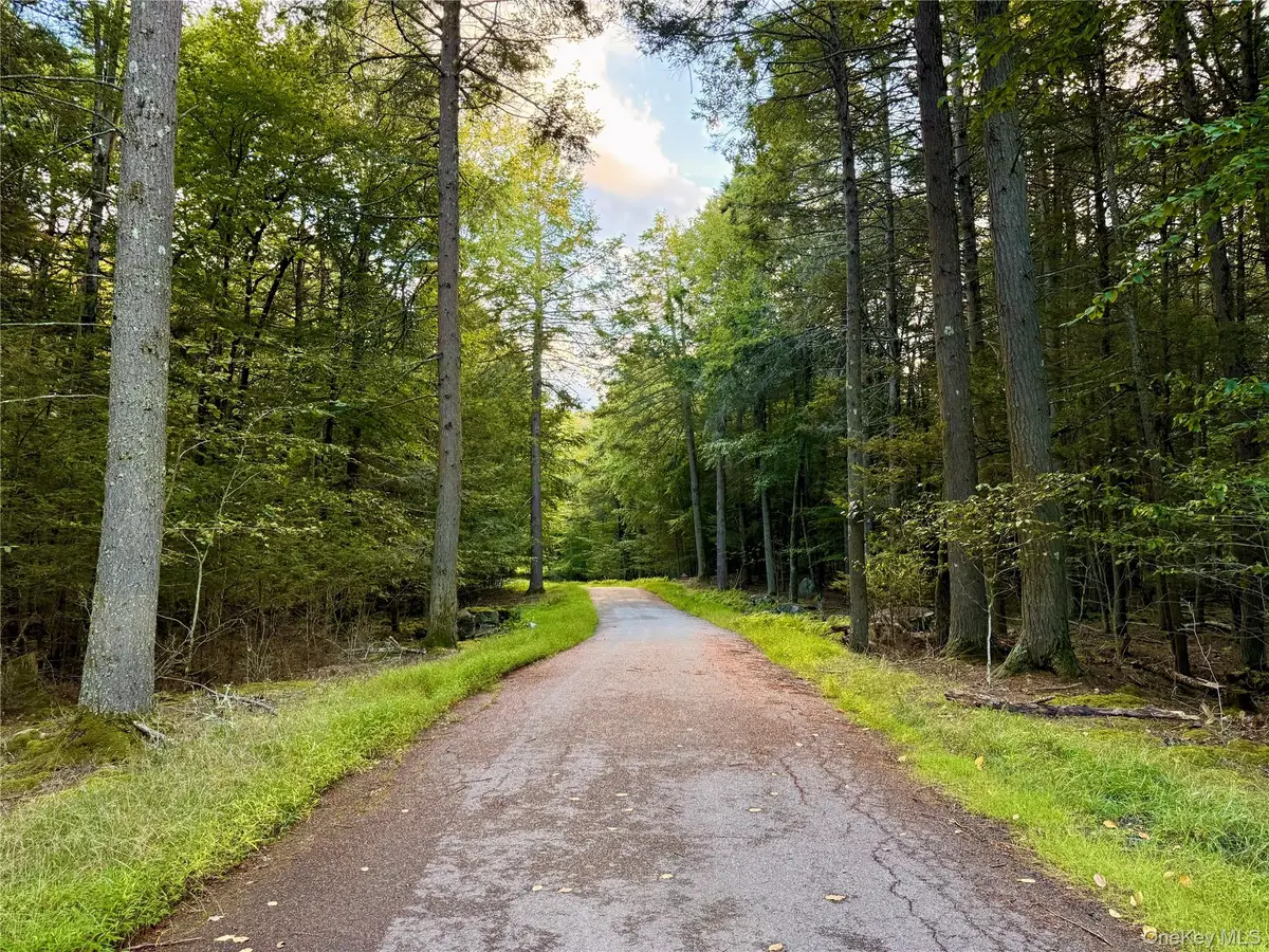 Orange Avenue, Smallwood, NY 12778 - #1