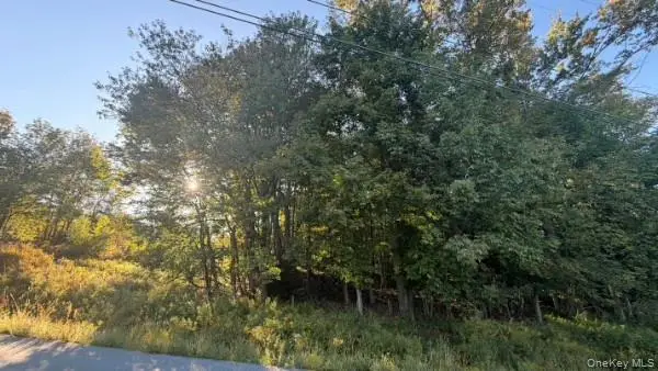 Highview Avenue, Liberty, NY 12754 - #2