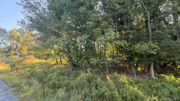 Highview Avenue, Liberty, NY 12754 - #3