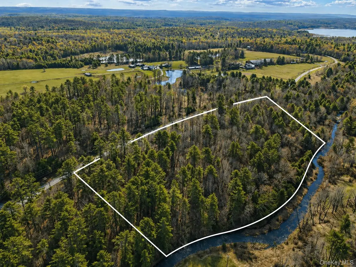 Lot 3 Chapin Trail, White Lake, NY 12786 - #1