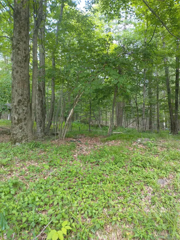 Old Loomis Road, Liberty, NY 12734