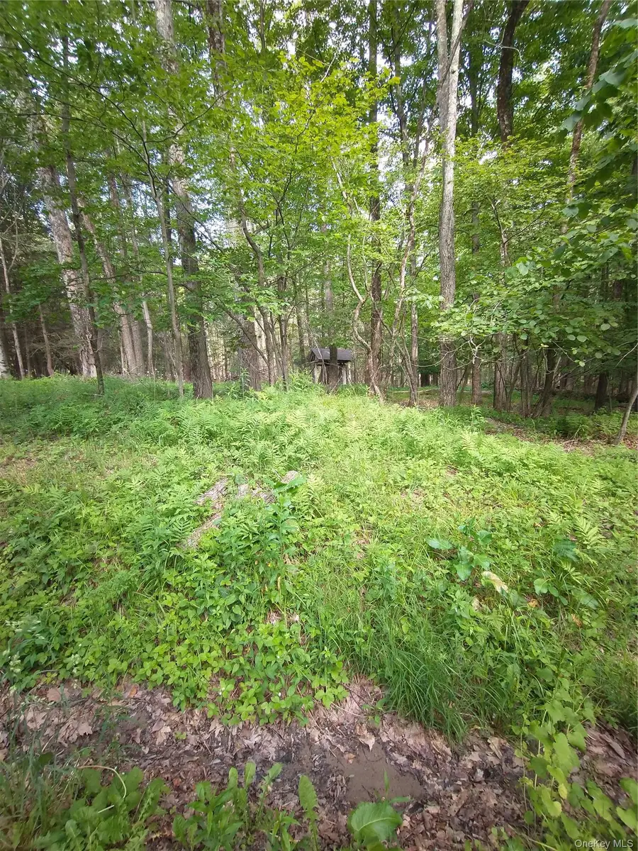 Old Loomis Road, Liberty, NY 12734 - #2