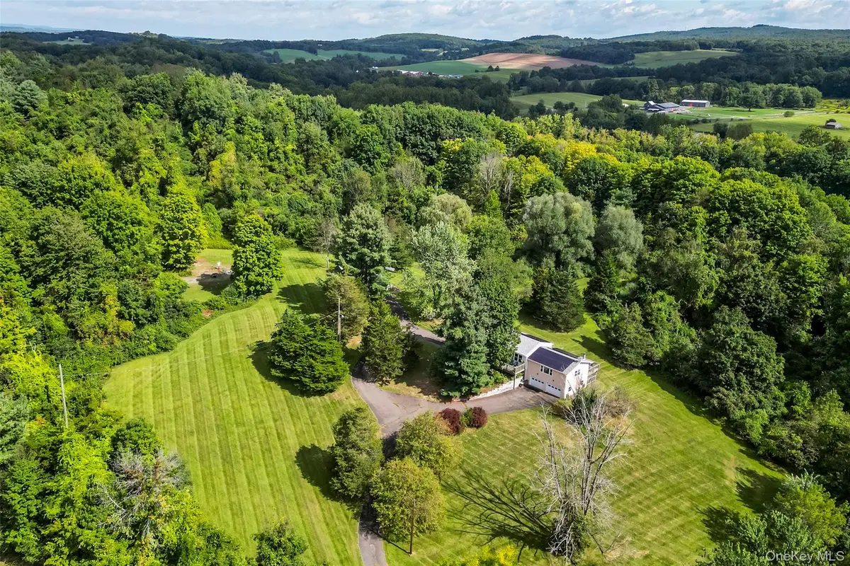847 Route 82, Elizaville, NY 12523 - #1