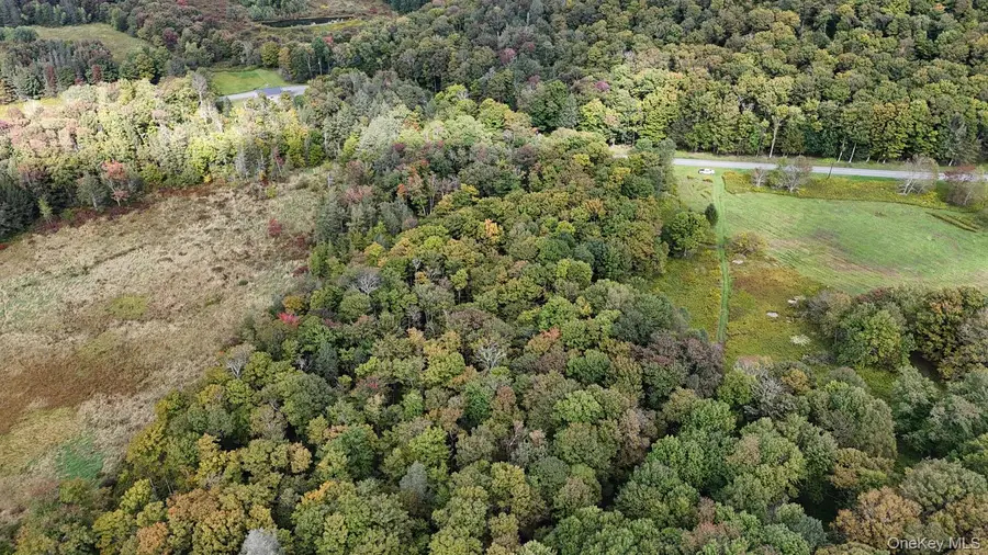 5790 Cr-28, Hancock, NY 13783 - #3