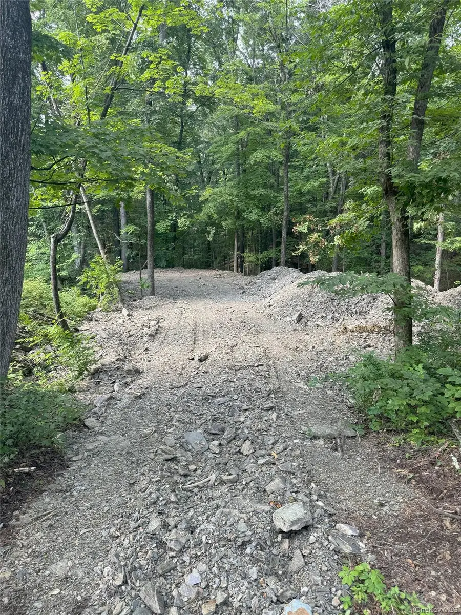 Lot 510455 Creek Road, Pleasant Valley, NY 12569 - #3