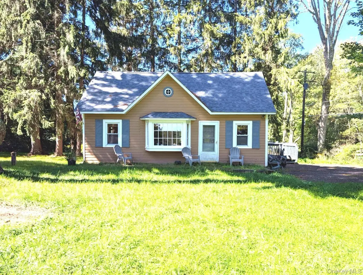 13 Fisher Road, Cochecton, NY 12726 - #1