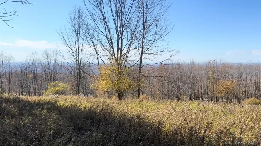 Chaffee Road, Liberty, NY 12754 - #2