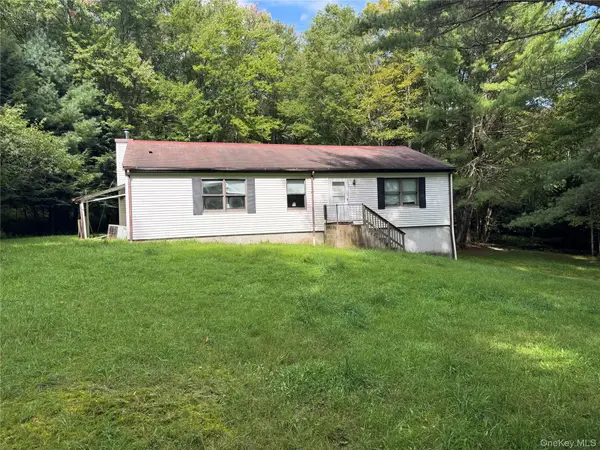 155 Blanchard Road, Swan Lake, NY 12783