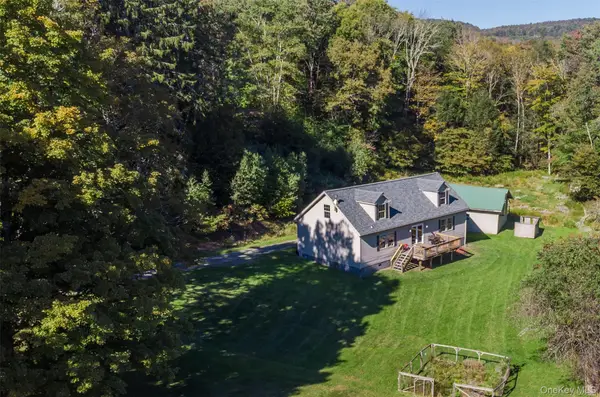3 Parks Road, Livingston Manor, NY 12758