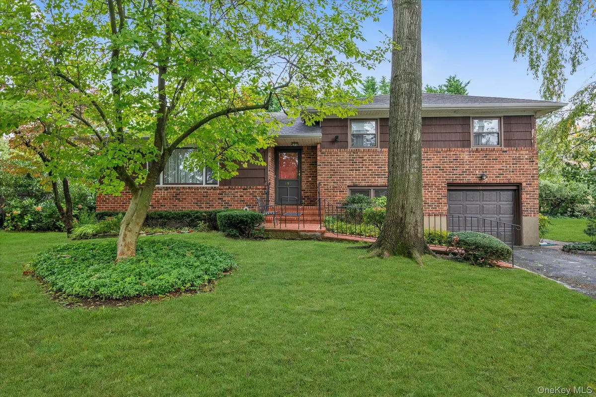 197 Birch Drive, Manhasset Hills, NY 11040 - #1