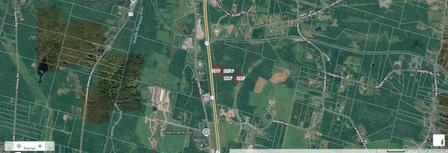 Tbd Road, Liberty, NY 12754 - #2