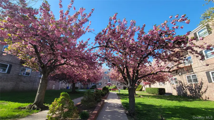 111-05 66 Avenue #1B, Forest Hills, NY 11375 - #2