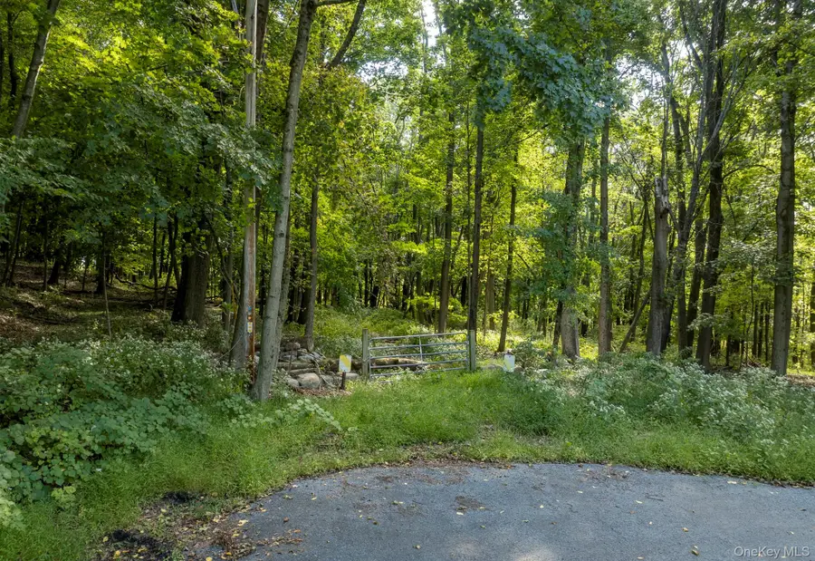 59 Linden Lane S, Millbrook, NY 12545 - #2
