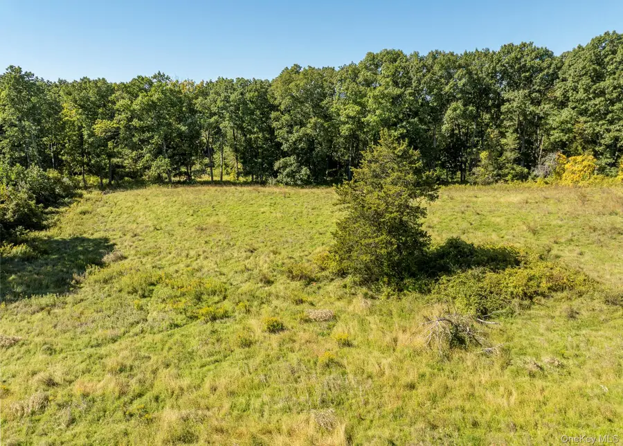 78 Fox Lane, Tivoli, NY 12583 - #3