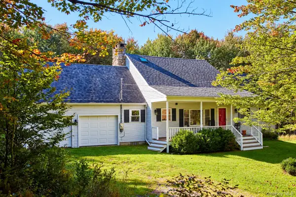 452 White Roe Lake Road, Livingston Manor, NY 12758