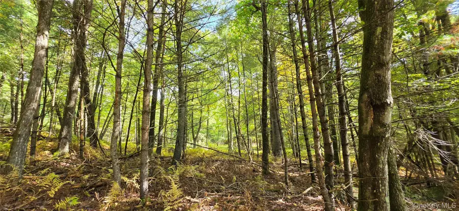 Lot 6.17 State Rt 97, Narrowsburg, NY 12764 - #3