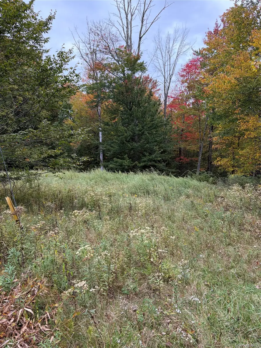 Budd Road, Fallsburg, NY 12733 - #2