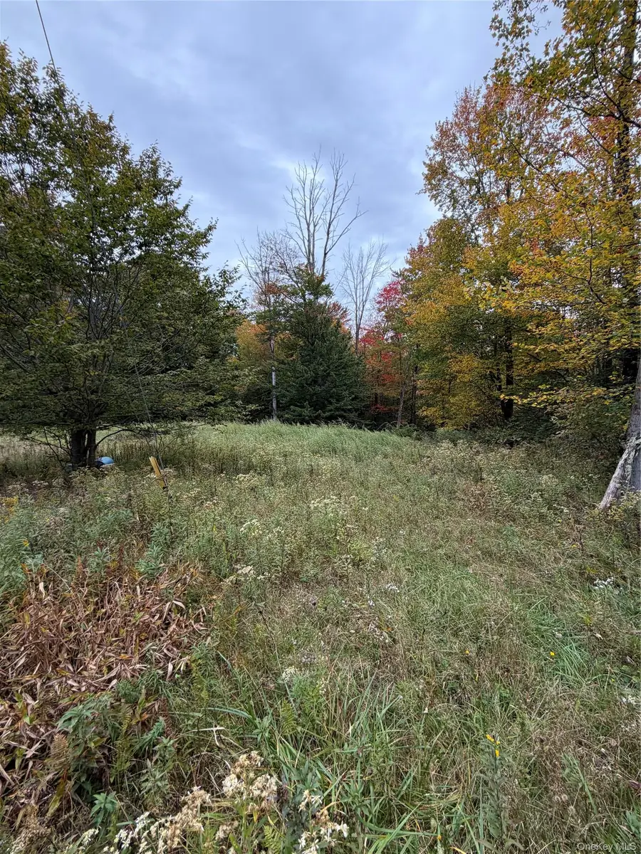 Budd Road, Fallsburg, NY 12733 - #3