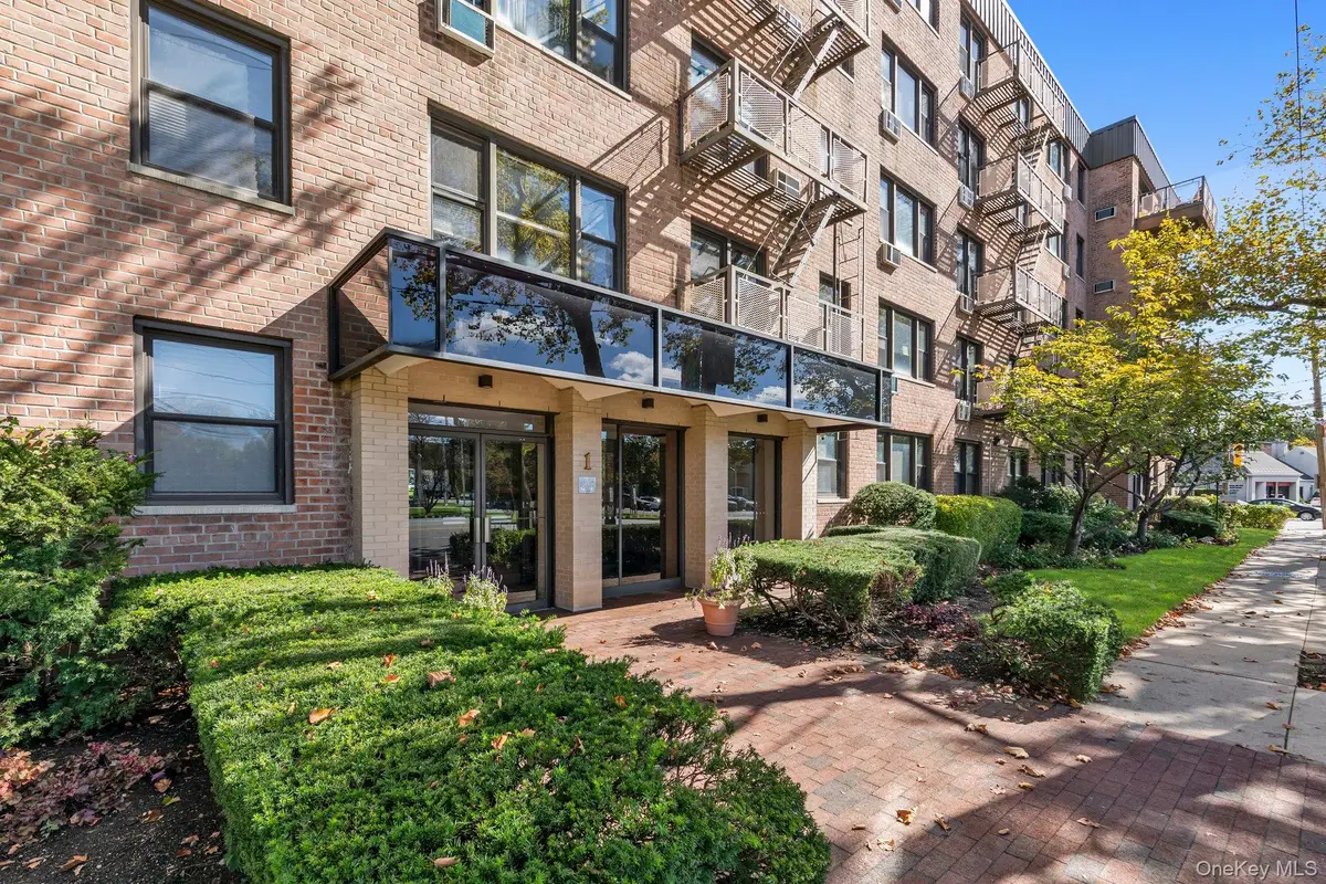 1 Birchwood Court #3B, Mineola, NY 11501 - #1