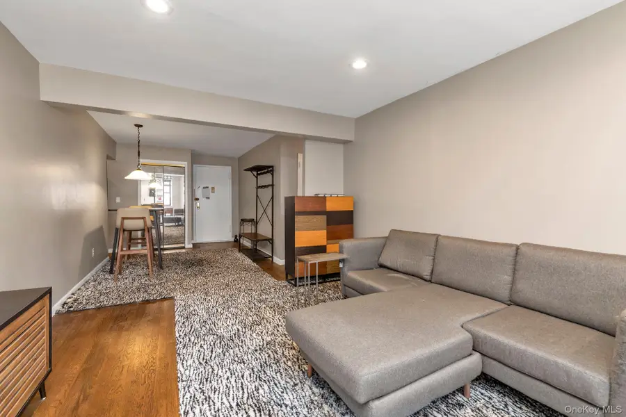 1 Birchwood Court #3B, Mineola, NY 11501 - #3