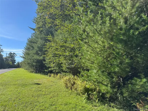 lot 1 Chapin Trail, Bethel, NY 12720