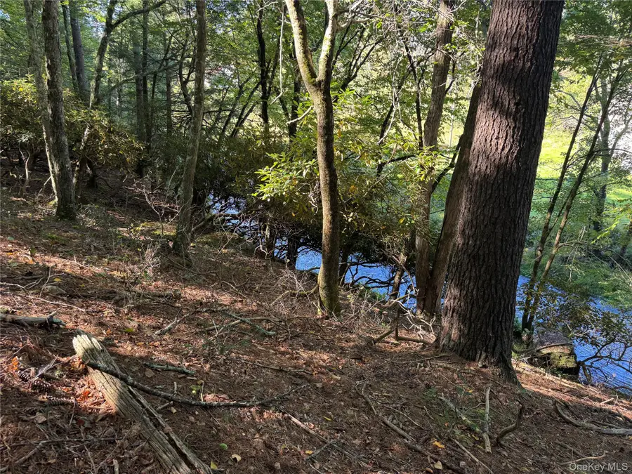 lot 1 Chapin Trail, Bethel, NY 12720 - #3