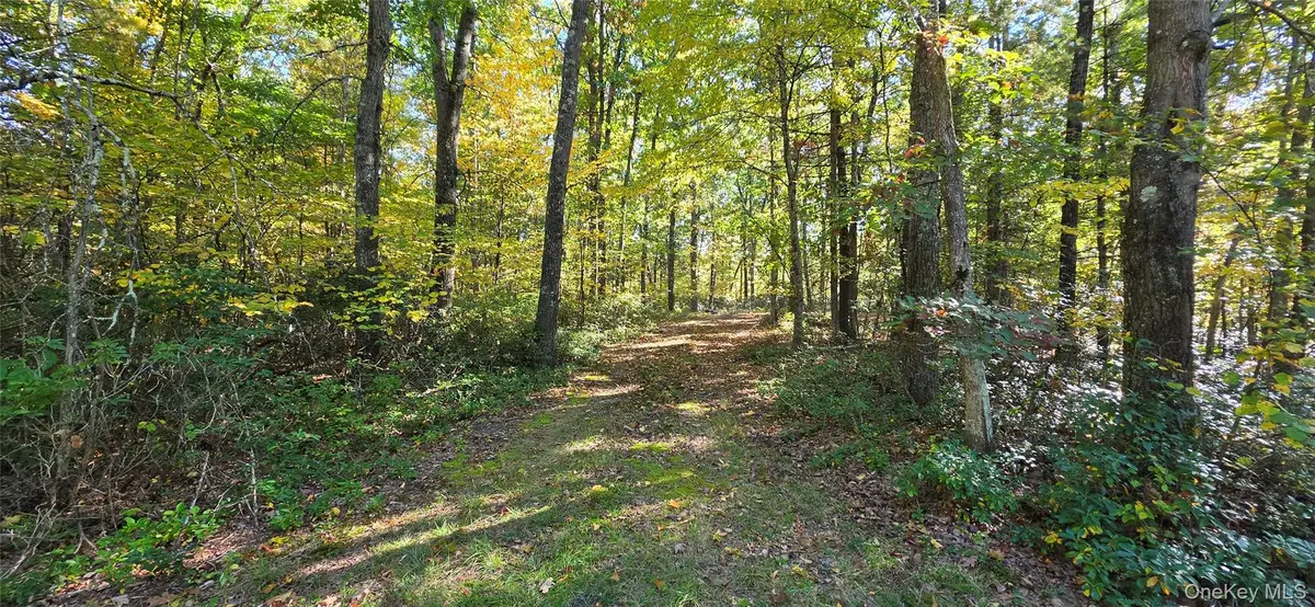 Lot #86 Perry Pond Road, Narrowsburg, NY 12764 - #1