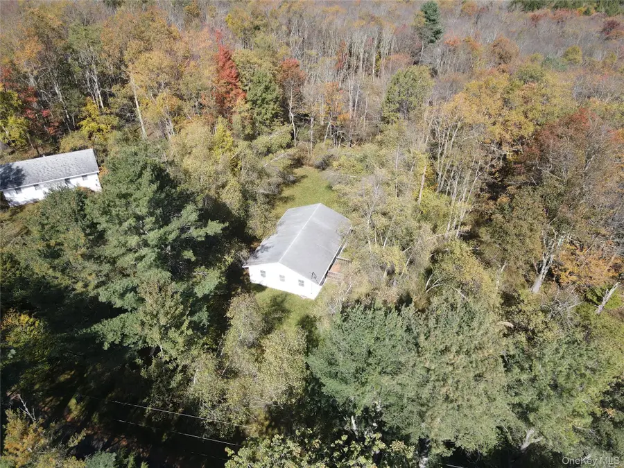204-214 Okeefe Hill Road, Parksville, NY 12768 - #2