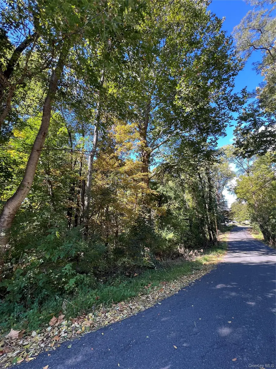 161 E Market Street, Rhinebeck, NY 12572 - #3