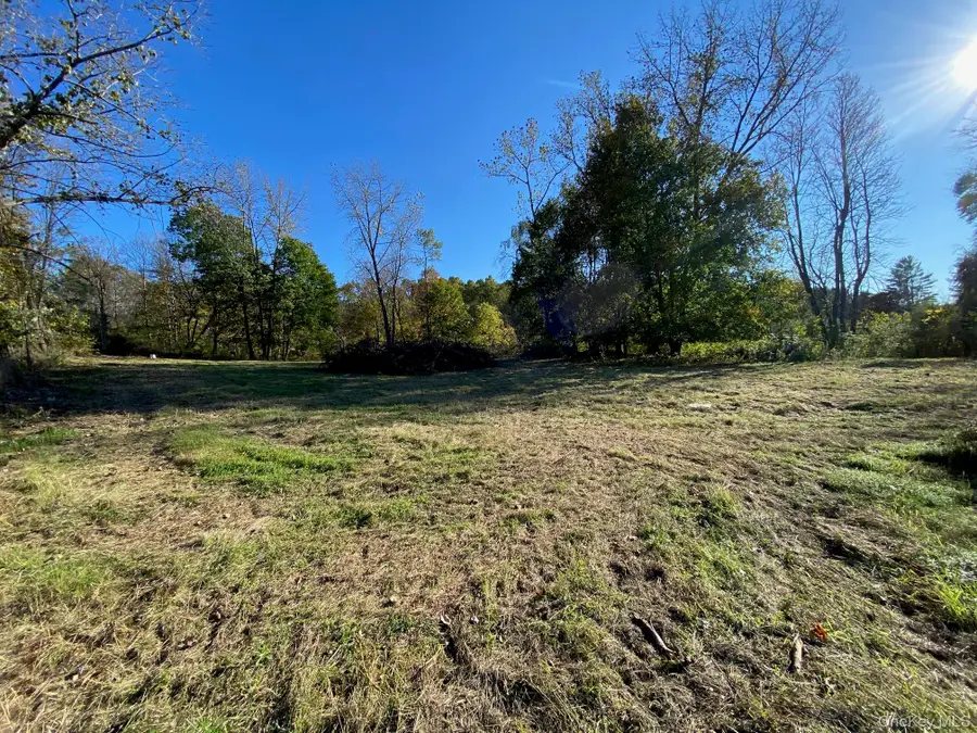 Route 343, Amenia, NY 12501 - #3