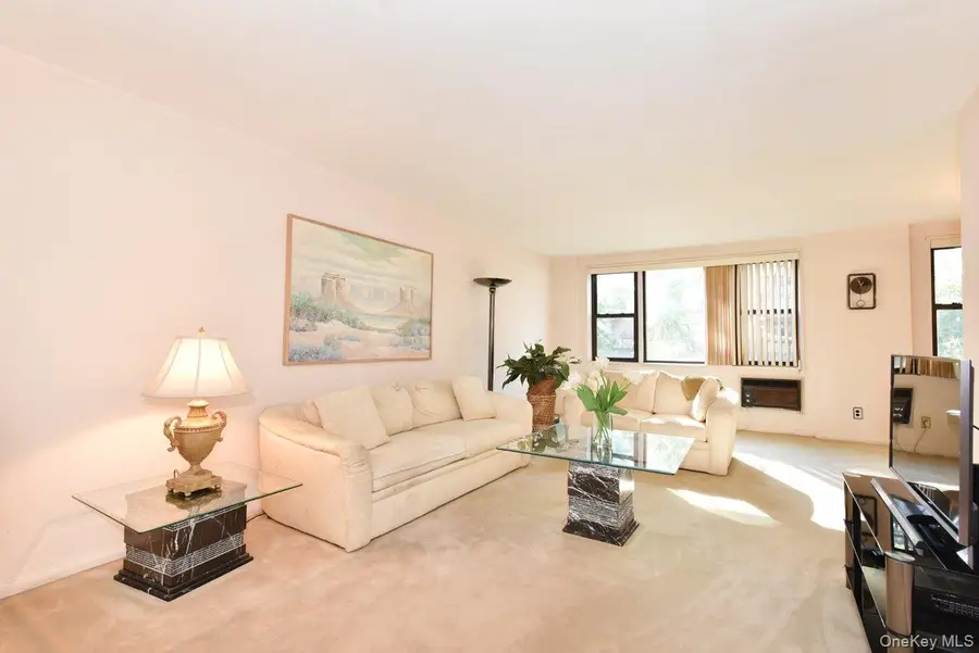 6 Birchwood Court #3F, Mineola, NY 11501 - #2