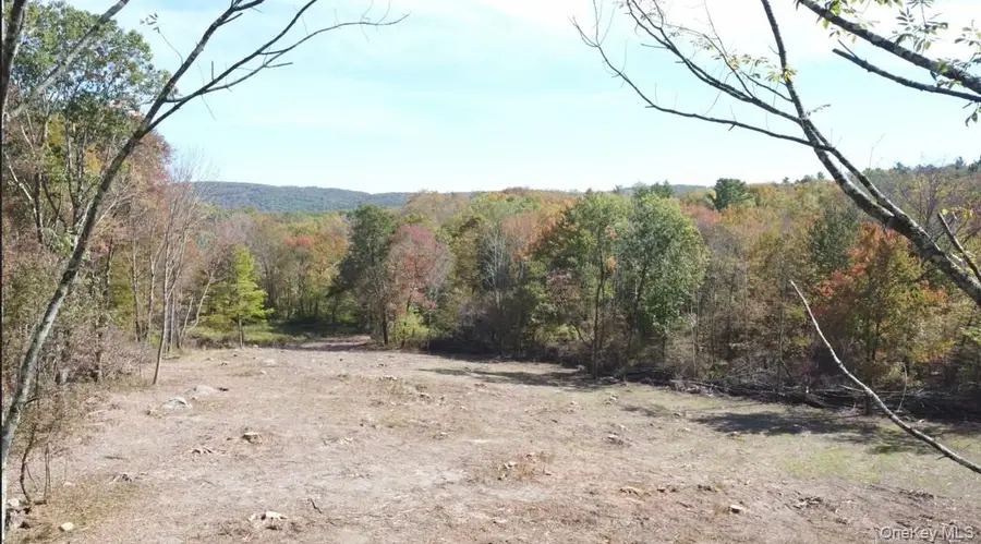 TBD (East Lot) W Hill Road, Austerlitz, NY 12017 - #2