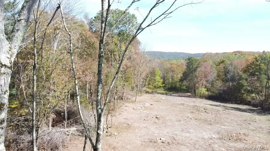 TBD (East Lot) W Hill Road, Austerlitz, NY 12017 - #3