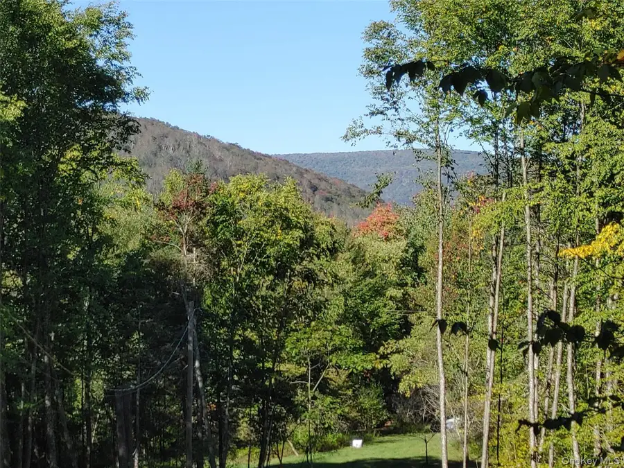 27 Warren Todd Subdivision Drive, Arkville, NY 12406 - #3