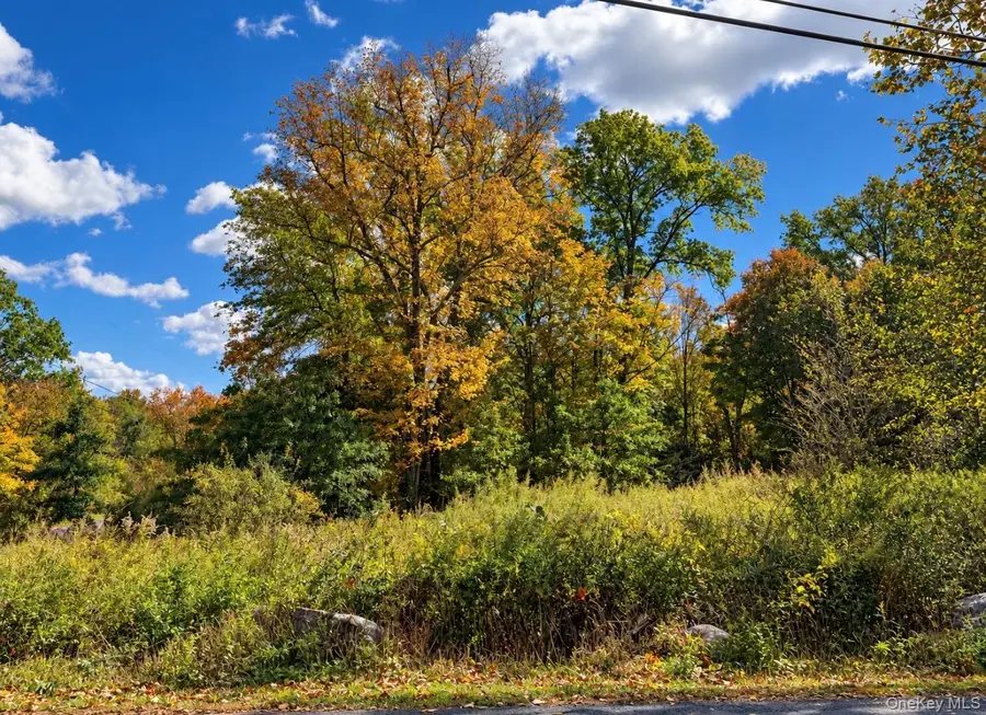 Rutsonville Road, Wallkill, NY 12589 - #3