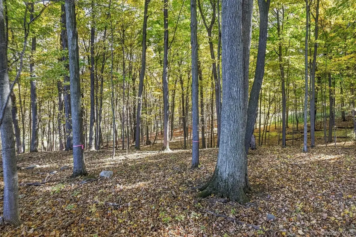 Dorian Way, Campbell Hall, NY 10916 - #1