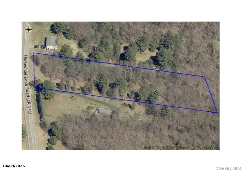 Horseshoe Lake Road, Bethel, NY 12720 - #3