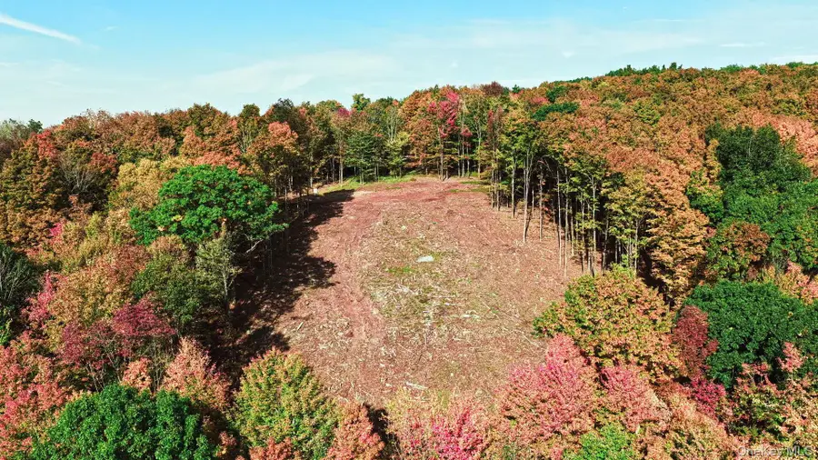 114 Skyline Drive, Neversink, NY 12765 - #3