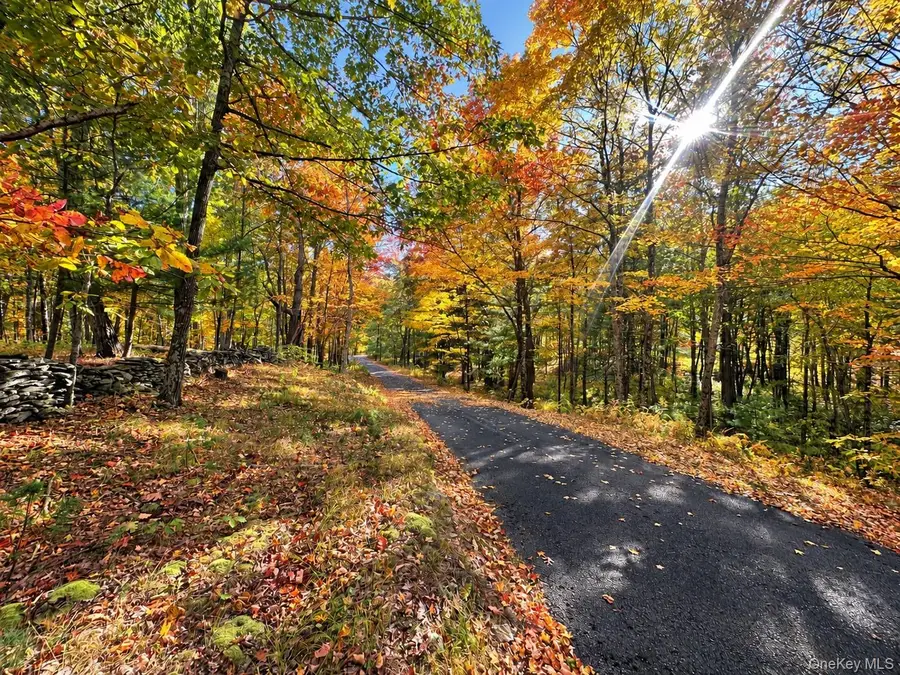 7 Stonehouse Road, Rhinebeck, NY 12572 - #2