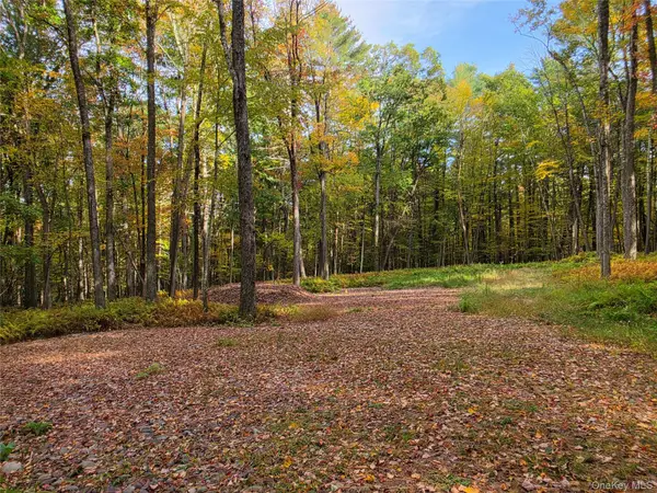 TBD Evergreen Lane, Narrowsburg, NY 12764