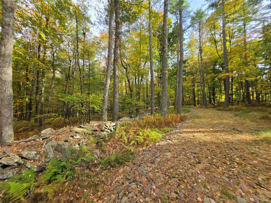 TBD Evergreen Lane, Narrowsburg, NY 12764 - #2