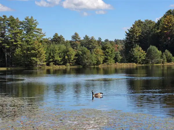 Lot 11 Deer Meadow Road, White Lake, NY 12786