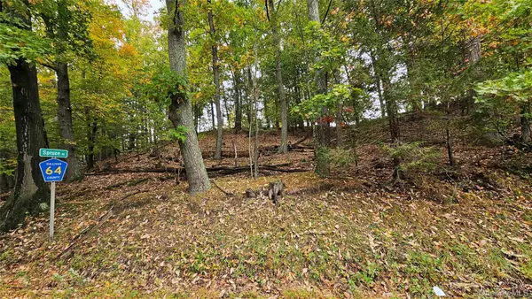 X Spruce Road, Middletown, NY 10940