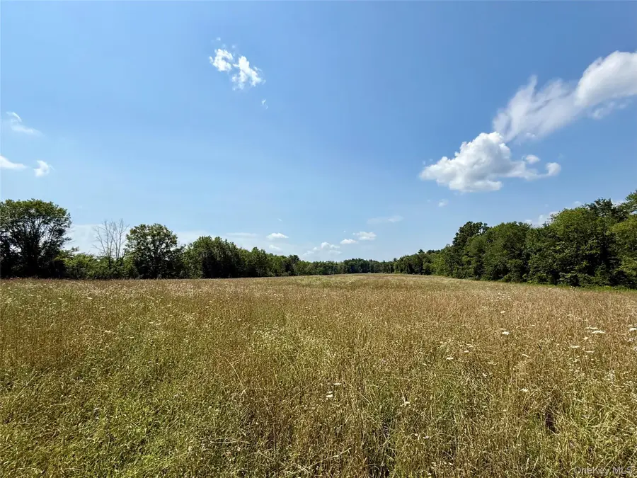 Shawangunk Road, Middletown, NY 10941 - #2