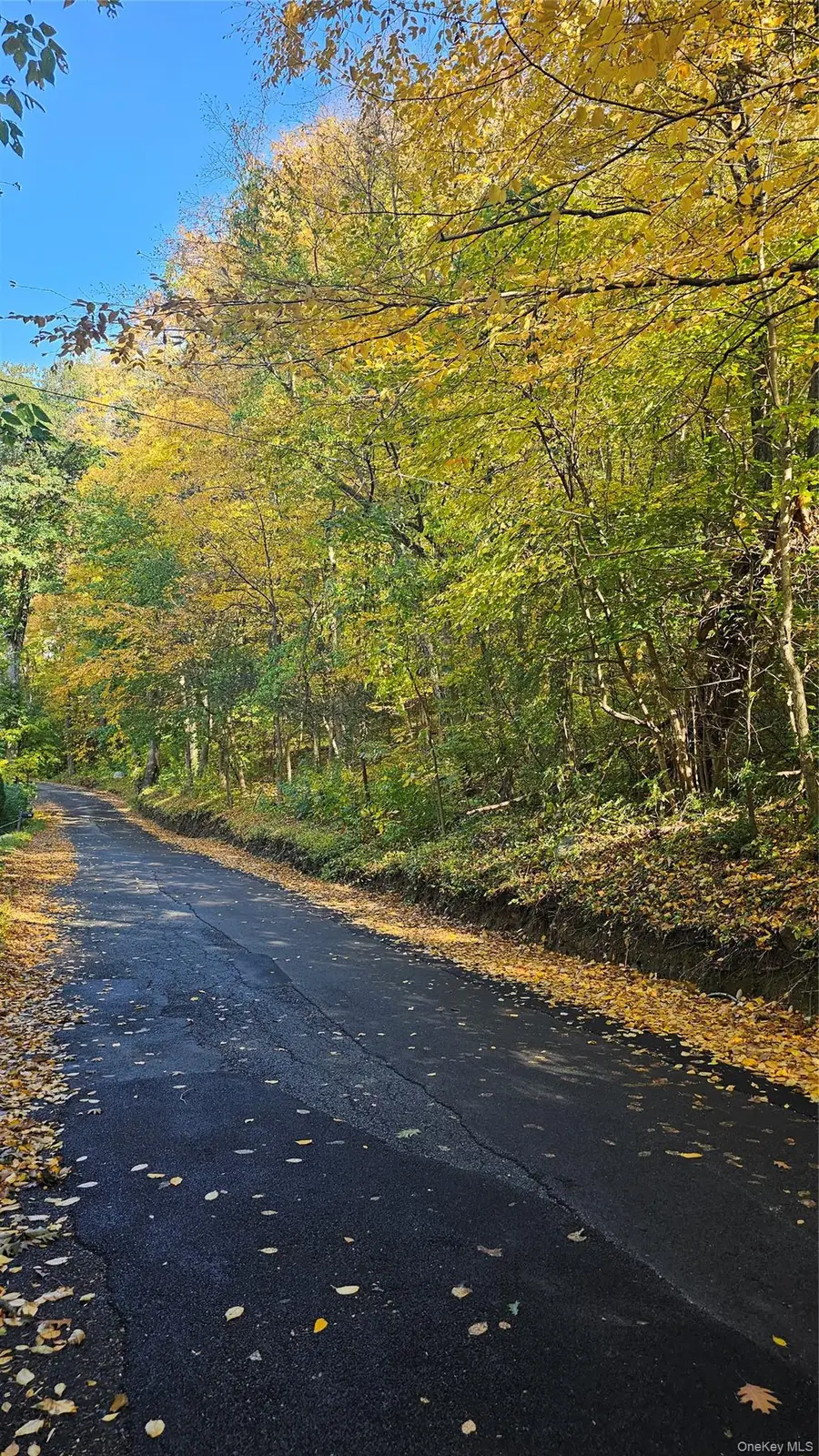 Saw Mill, Putnam Valley, NY 10579 - #2