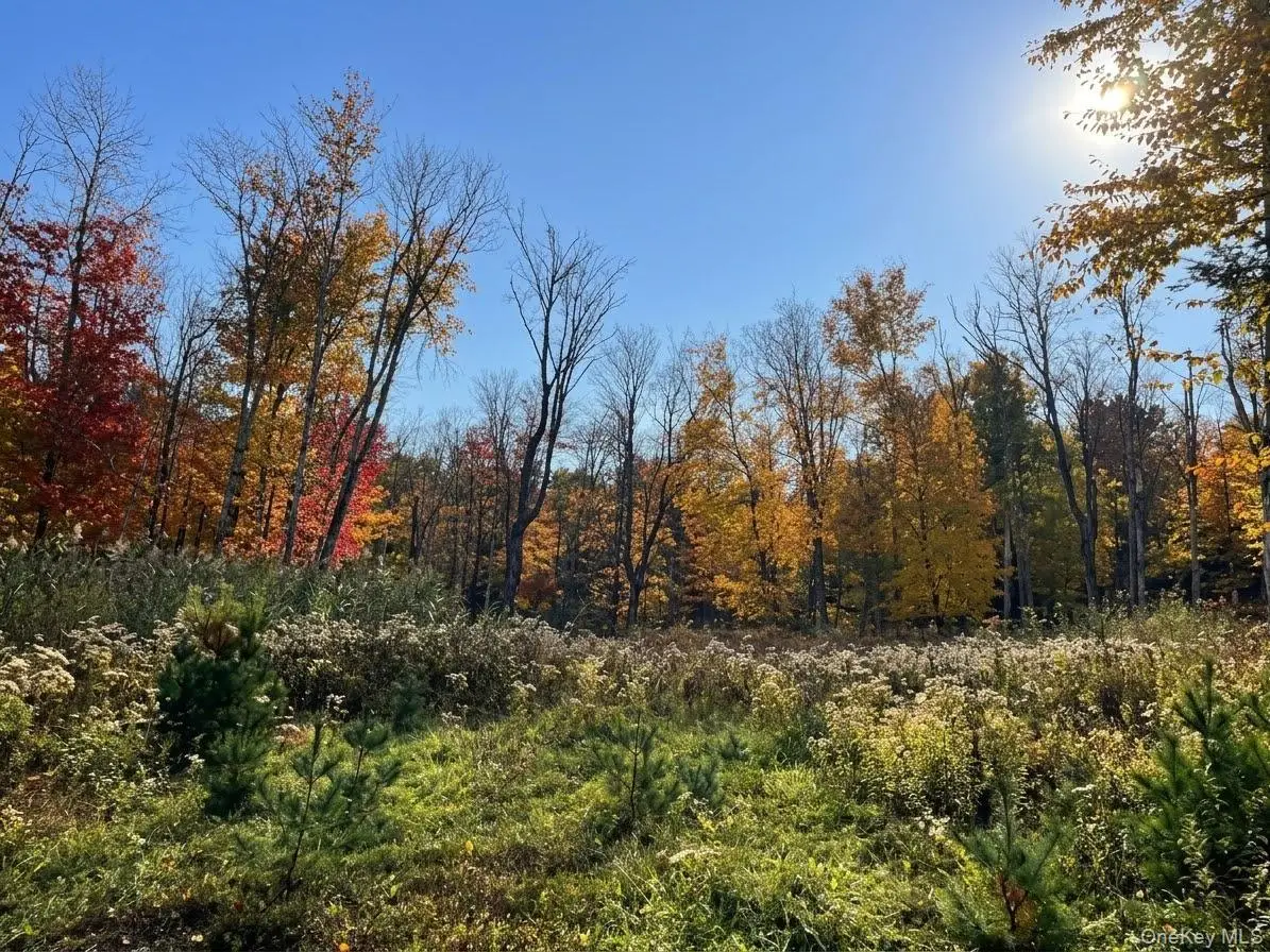 Painter Hill Road, Wurtsboro, NY 12790 - #1