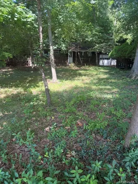 165 Hickory Lane, Smithtown, NY 11787 - #3